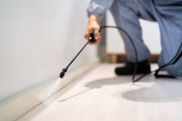 Certified termite inspector examining foundation in Madison