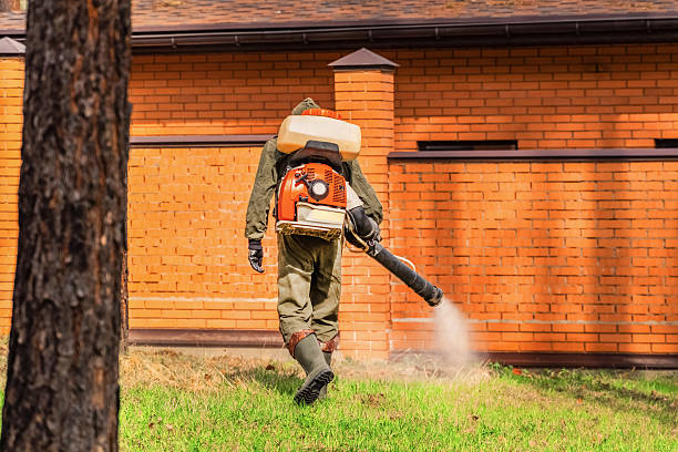 Top rated local Wasp Removal specialists in Madison, AL